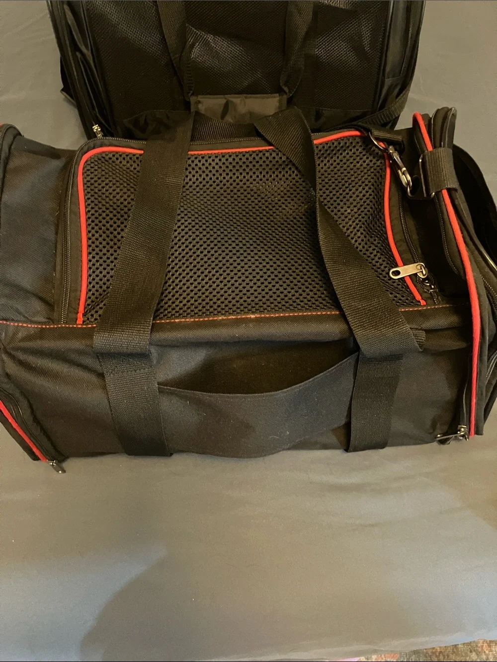 Airline Approved Underseat Pet Carrier- Collapsible